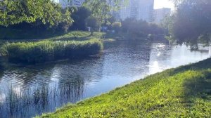 Продам однушку в Солнцево