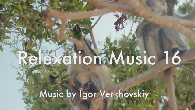 Igor Verkhovskiy - Relaxation Music 16 - Primitive new year