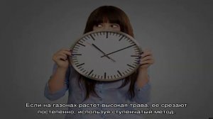 Мульчирование газона газонокосилкой — экономный агротехнический прием