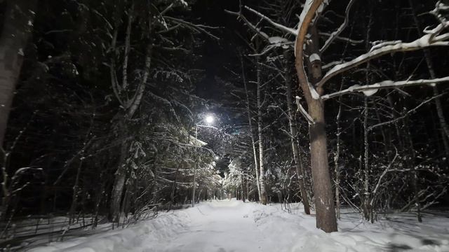 Волшебство ночного Черняевского леса города Перми
