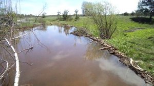 Пейзажи реки Матюг