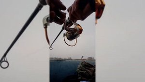 Открытия сезона на спиненг. Пуля - ловим карася.