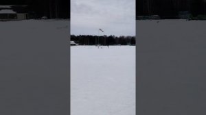 По насту на лыжах. В чём польза