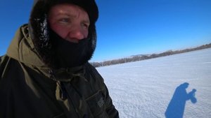 охота на волков!волки "резали" косуль,добыли ЛЕСНЫХ волков!