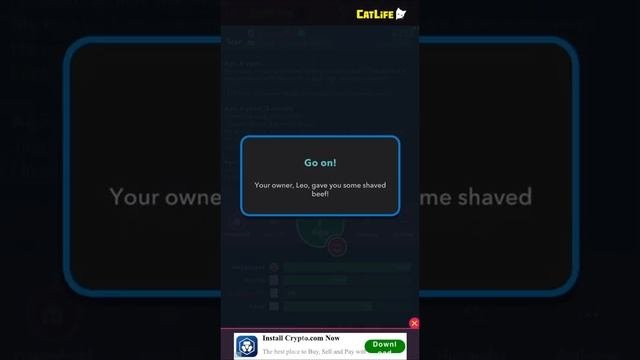 CatLife - Gameplay Walkthrough Part 2 - Bad Cat (iOS, Android)