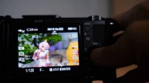 Как сделать ручную фокусировку на камере Sony ZV-E10 или a6000, a6100, a6400, a6600, a6700, a7c