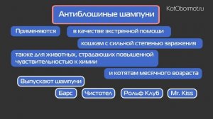 Обзор средств для кошек от блох и клещей