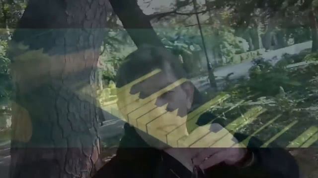 _13_12_2015_г.СОЧИ.mp4 смотреть онлайн