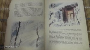 Юрий Дмитриев. Таинственный ночной гость.