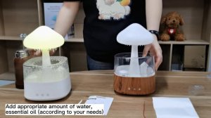 Rain Cloud Humidifier