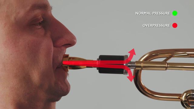 A short review on the Optimizer from KGUmusic смотреть онлайн