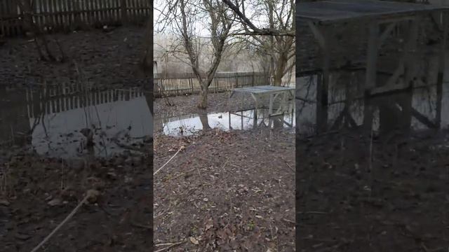 Паводок 2023г разлив р.Суходол в станице Кумылженской, на огородах по ул.Дачная смотреть онлайн