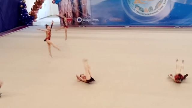 Чемпионат и первенство Сибирского Федерального округа по эстетической гимнастике