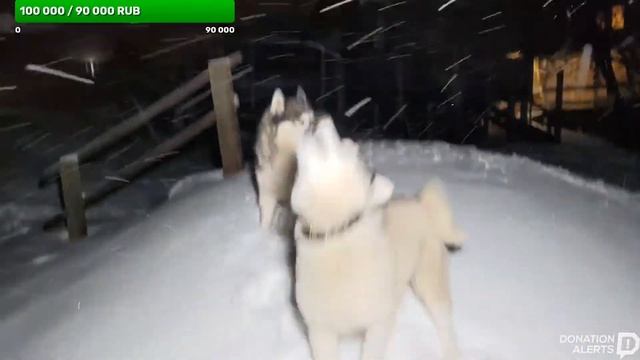 у-у-у у-у-у голодные шакалы хотят есть смотреть онлайн