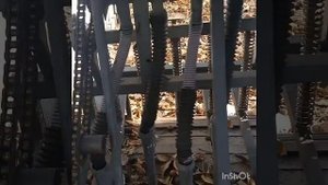 Самодельный минитрактор и зерновая сеялка, всходы озимой пшеници 2019.
