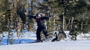 Глухарь напал на сноубордиста на горнолыжном курорте Шерегеш