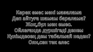 Adam - Zhurek (КАРАОКЕ, ТЕКСТ, МИНУС) #adam #zhurek #врек #karaoke