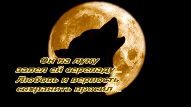 Моему Лунному Волку.mpg смотреть онлайн
