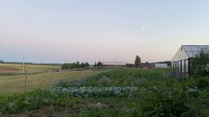 Деревенская атмосфера
