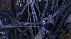 S.T.A.L.K.E.R.: Dark Path (ОБТ) - 4☢ПДА Тирана, Бар, Три Пузыря, Лже долговцы