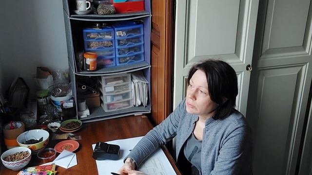 О моем магазине семян и как я к этому пришла ??☘️????????? https://ebay.it/usr/paisley_green смотреть онлайн