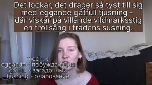 Переводим шведское стихотворение