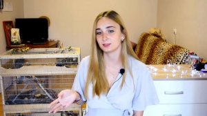 Как Ссадить Двух ДЕГУ вместе