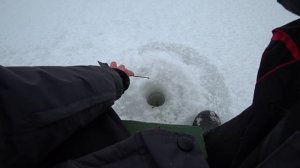 Весенняя Рыбинка. Ловля плотвы на мелководье!