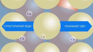 Компактный фильтр для воды