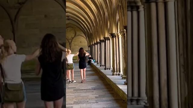 Salisbury Cathedral!  #salisbury #salisbury_cathedral #uk #travelvlog