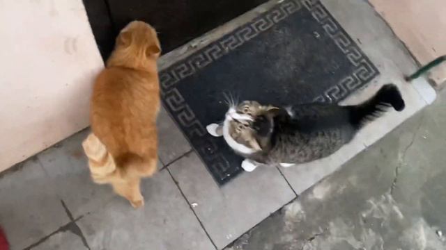 Делаю меньше дел и чувствую себя лучше смотреть онлайн