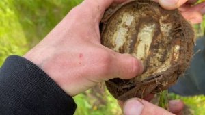 Рыбалка и поиски в Мордовии с металлоискателем MD 5090