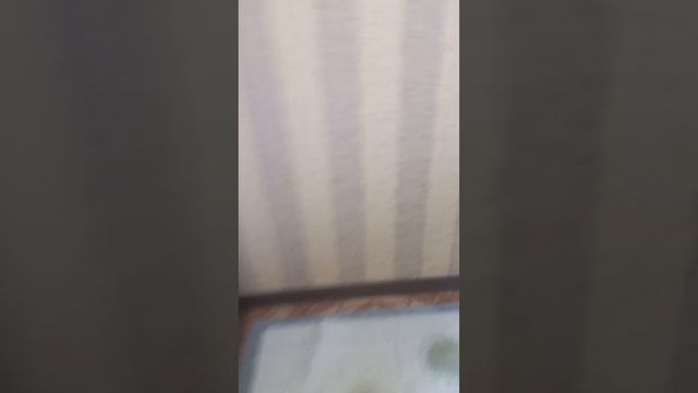 обзор на квартиру спойлер Это не моя квартира я с ней сейчас живу смотреть онлайн