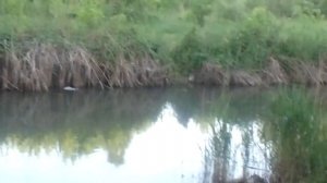 Святой Источник у Иверского монастыря Ростова-на-Дону