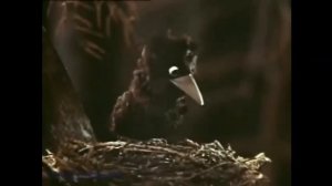 Дядюшка КУ-КУ RYTP