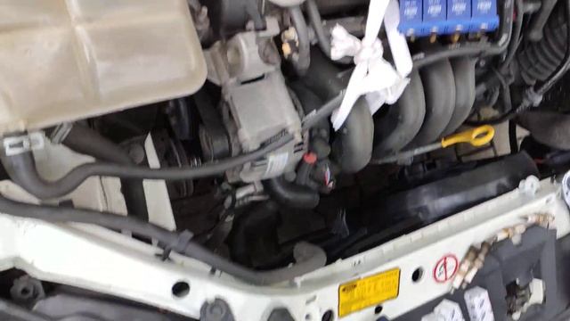 Ford Focus MK1 Buji Değişimi Nasıl Yapılır ? How to change spark plug? смотреть онлайн