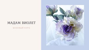 Базовый курс №1 Rosa Madam Violet