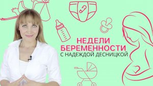 Рубрика на канале МамАрт: Недели беременности |  Приветствие