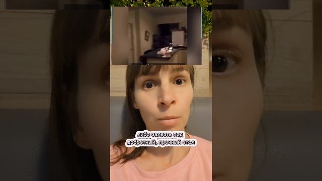 Что делать при землетрясении #землетрясение #выживание #чтоделать
