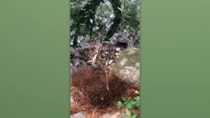 Невероятные Моменты, Снятые на Камеру(5)