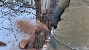 Бензопила ZimAni в работе -30 градусов. Бензопила ZimAni 372XP PRO.