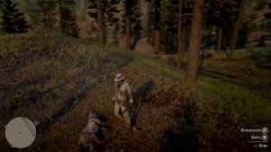 Red Dead Redemption 2_Где искать пуму #2