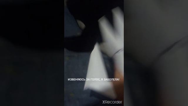 сделала ногти из бумаги/плохое качество/некрасивый голос.
