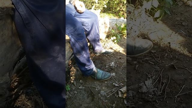 Чей туфля-моя туфля..... смотреть онлайн