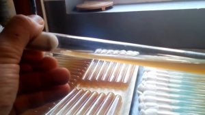 правильно СКОШЕНЫЙ АГАР, приготовление и скашивание