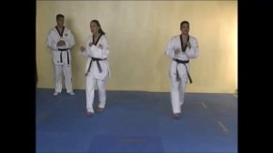 Taekwondo WTF Техника ударов ногами