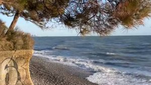 Самый ДИКИЙ ПЛЯЖ с соснами и прекрасным видом на СОЧИ. Лучше место для дикого отдыха.