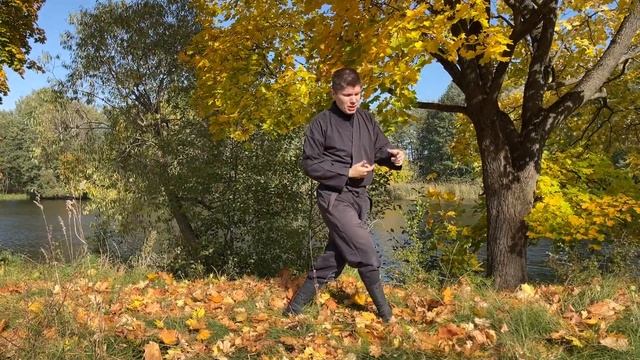 Кото-рю Копподзюцу Мото гата 虎倒流骨法術基型