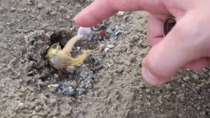 Отдых на Пхукете в августе! Все не так страшно!