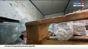 В "Соляном" чебоксарская детвора выпила фуру просроченной газировки